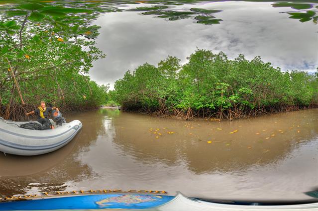 Ein Ausflug mit dem Beiboot an den von Mangroven überwachsenen "Strand". Der Weg füht in das kleine Dorf "Farn Harbour".